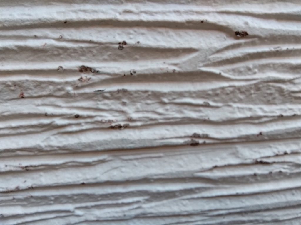 加古川市　外壁　傷　台風